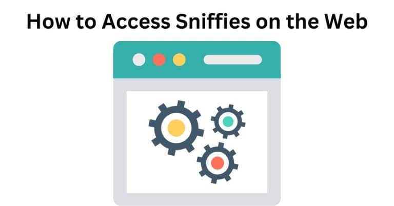 How to Access Sniffies on the Web