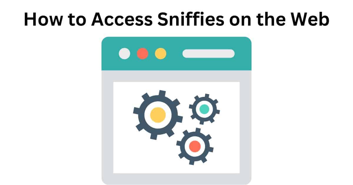 How to Access Sniffies on the Web