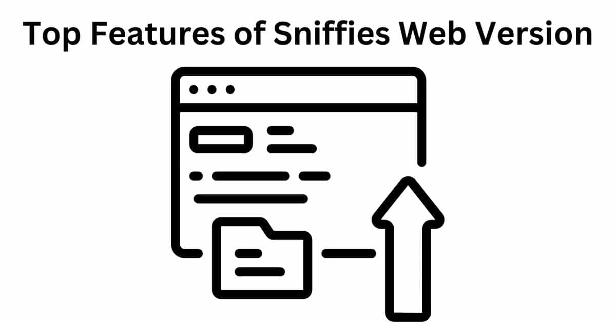 Top Features of Sniffies Web Version